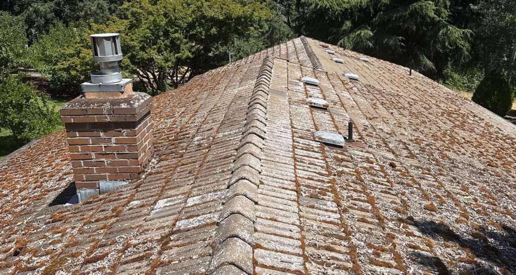 Roof Maintenance in Winter: A Checklist for Oregon Homeowners 4 roof moss in Northwest Oregon